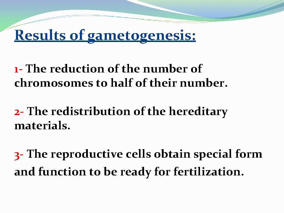 Results of gametogenesis: 1 - The reduction of the number of chromosomes to half