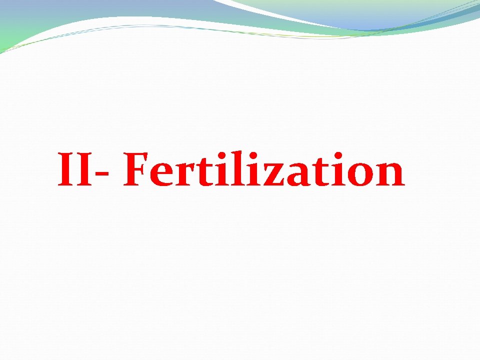 II- Fertilization 