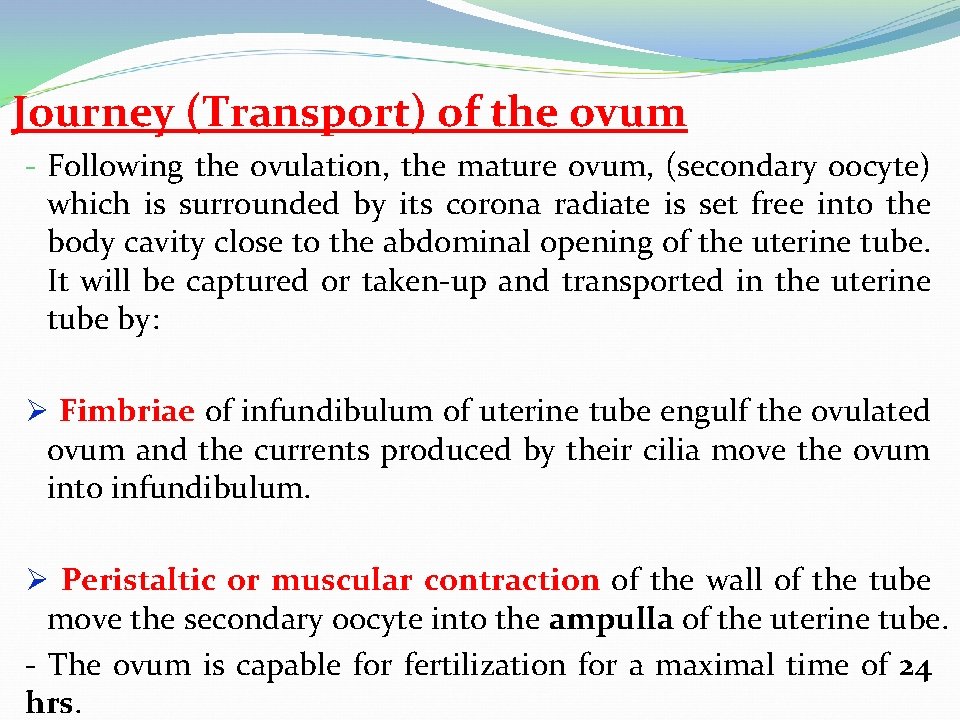 Journey (Transport) of the ovum - Following the ovulation, the mature ovum, (secondary oocyte)
