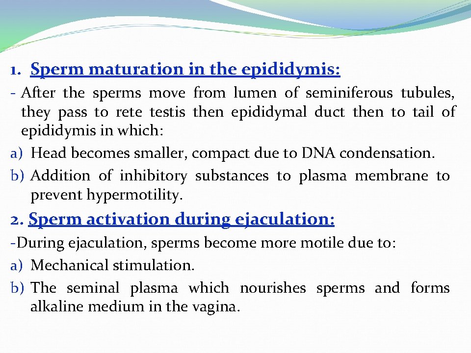 1. Sperm maturation in the epididymis: - After the sperms move from lumen of