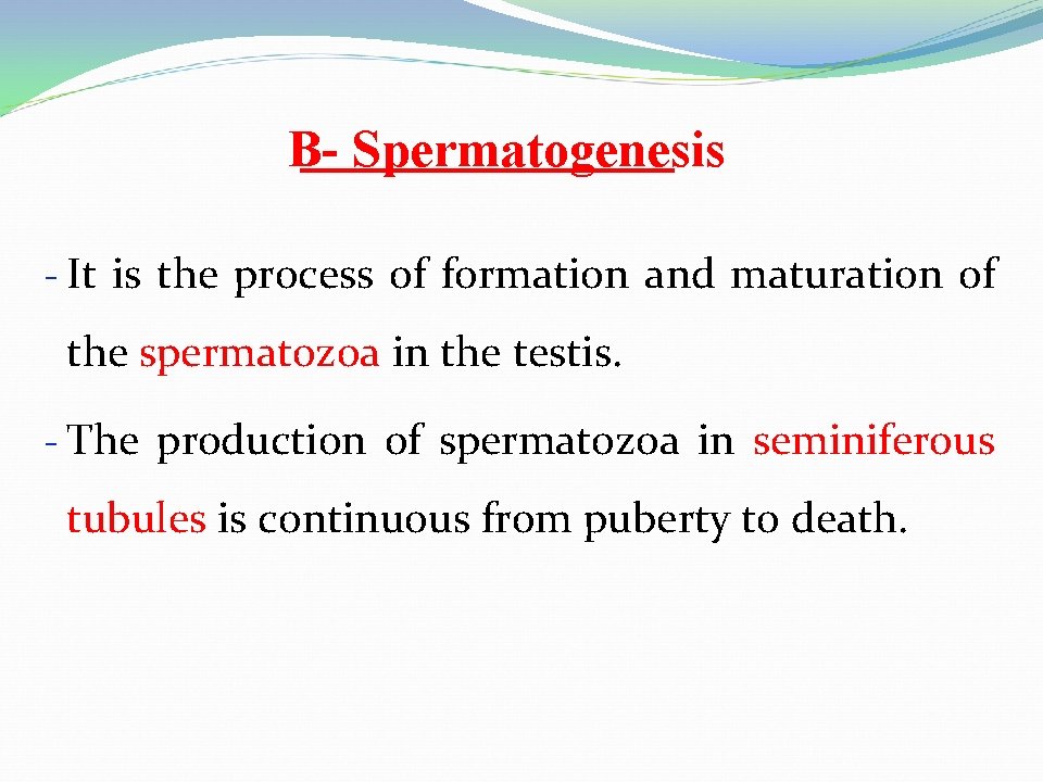 B- Spermatogenesis - It is the process of formation and maturation of the spermatozoa