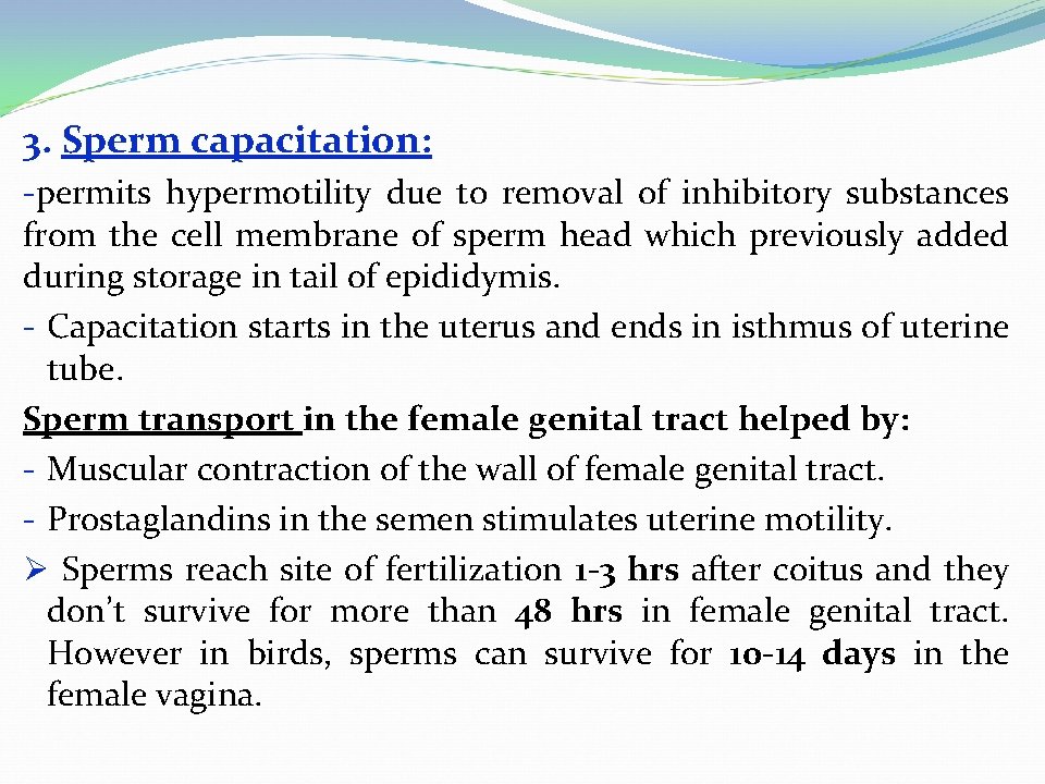 3. Sperm capacitation: -permits hypermotility due to removal of inhibitory substances from the cell
