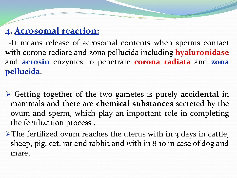 4. Acrosomal reaction: -It means release of acrosomal contents when sperms contact with corona