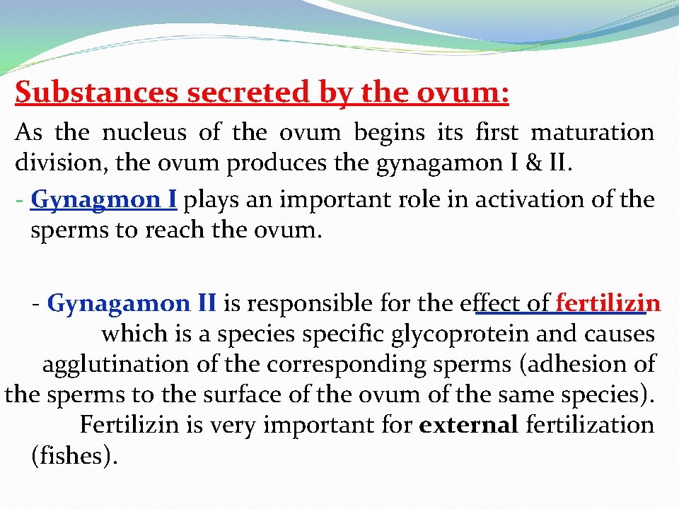 Substances secreted by the ovum: As the nucleus of the ovum begins its first