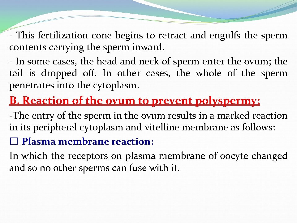 - This fertilization cone begins to retract and engulfs the sperm contents carrying the