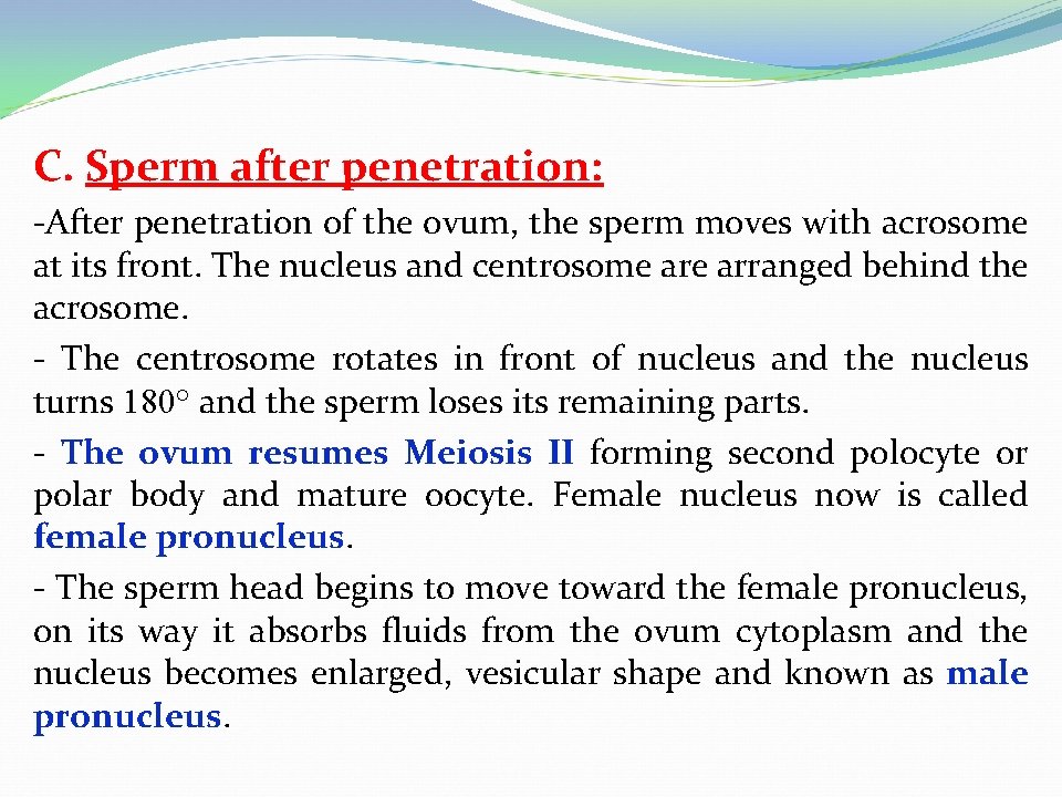 C. Sperm after penetration: -After penetration of the ovum, the sperm moves with acrosome