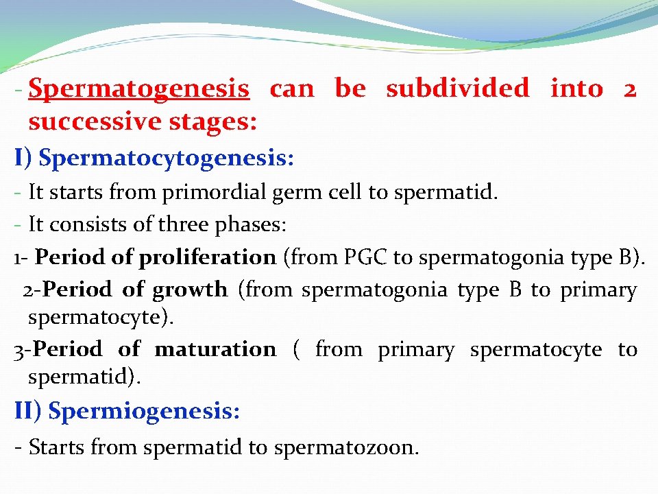 - Spermatogenesis can be subdivided into 2 successive stages: I) Spermatocytogenesis: - It starts