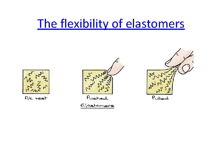 The flexibility of elastomers 