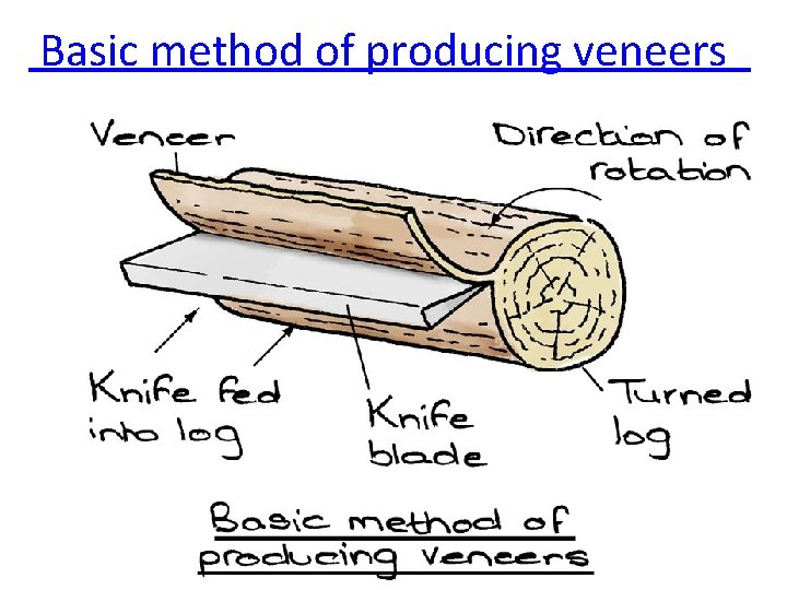  Basic method of producing veneers 