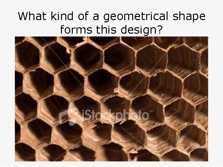 What kind of a geometrical shape forms this design? 