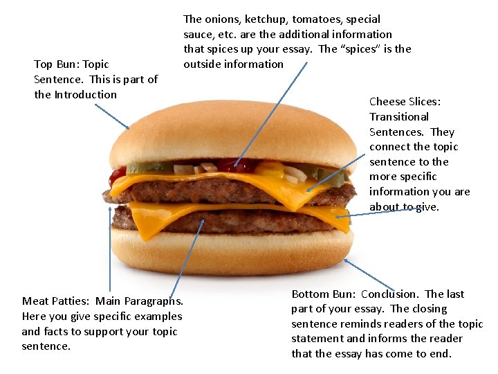 Top Bun: Topic Sentence. This is part of the Introduction The onions, ketchup, tomatoes,