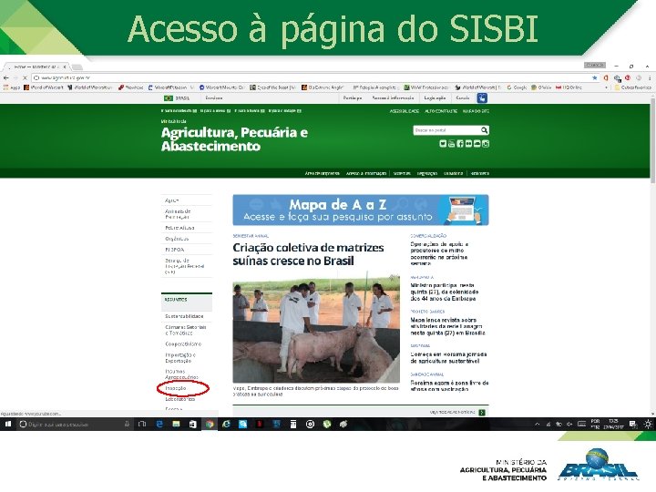 Acesso à página do SISBI 