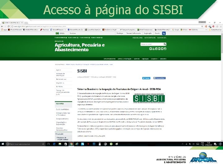 Acesso à página do SISBI 