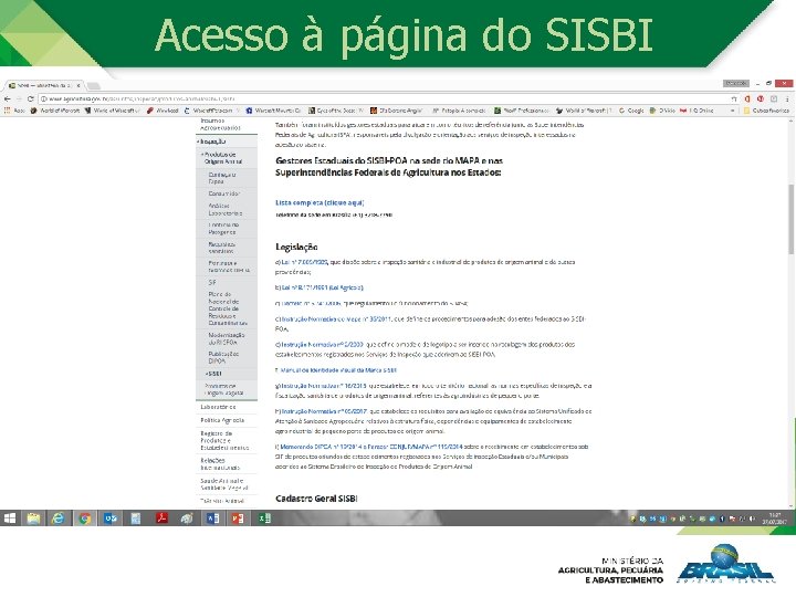 Acesso à página do SISBI 