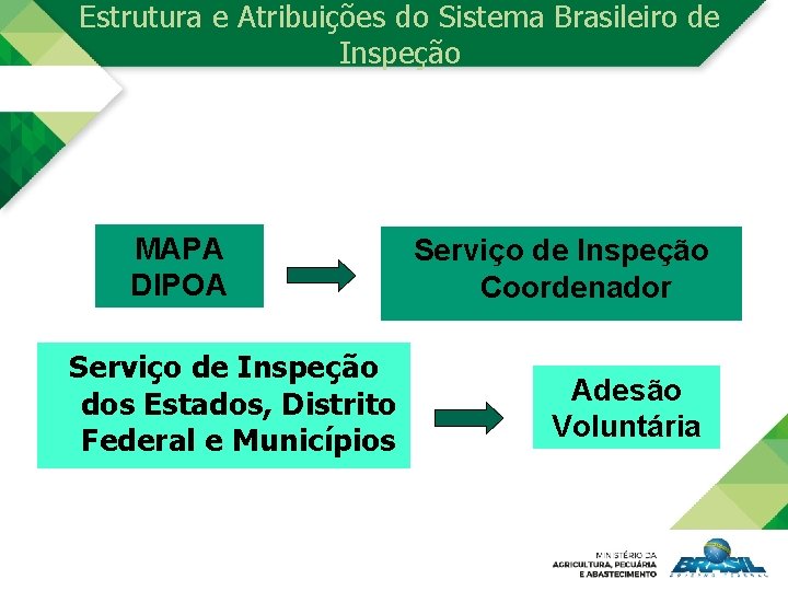 Estrutura e Atribuições do Sistema Brasileiro de Inspeção MAPA DIPOA Serviço de Inspeção dos