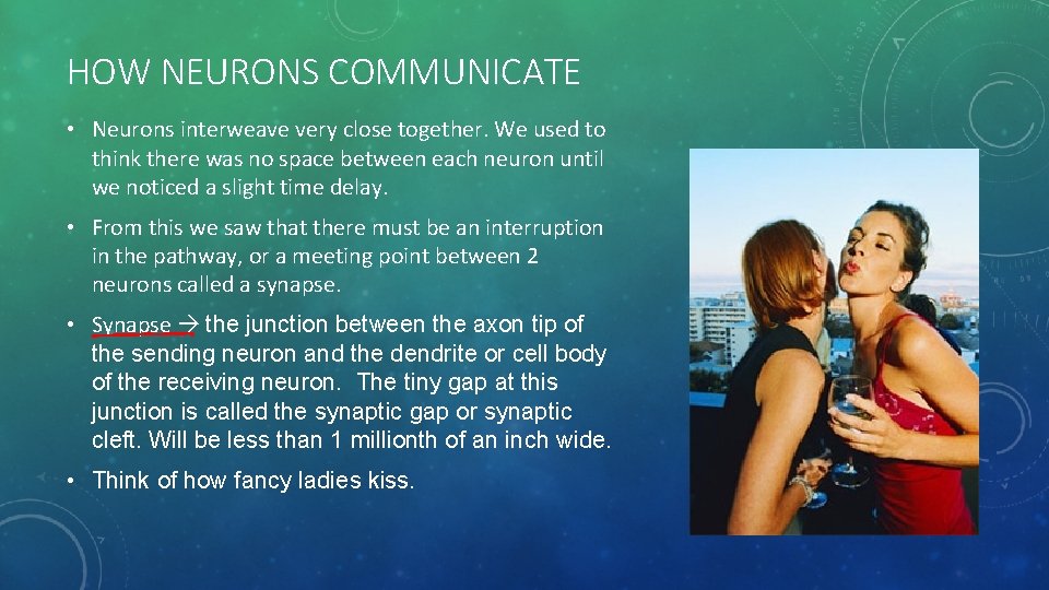 HOW NEURONS COMMUNICATE • Neurons interweave very close together. We used to think there