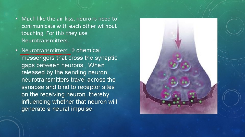  • Much like the air kiss, neurons need to communicate with each other