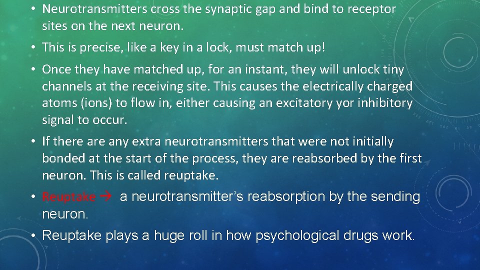  • Neurotransmitters cross the synaptic gap and bind to receptor sites on the