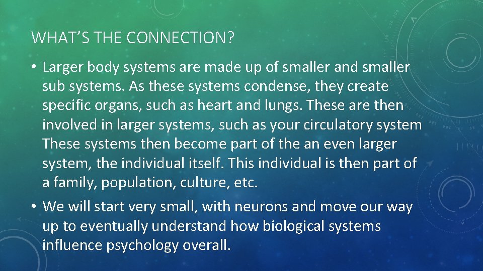 WHAT’S THE CONNECTION? • Larger body systems are made up of smaller and smaller