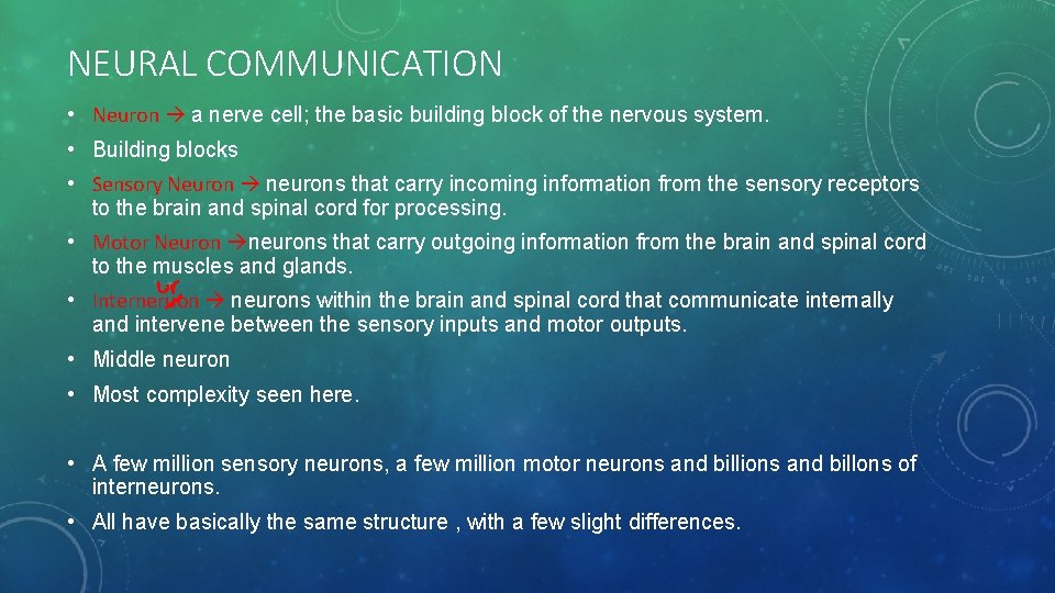 NEURAL COMMUNICATION • Neuron a nerve cell; the basic building block of the nervous