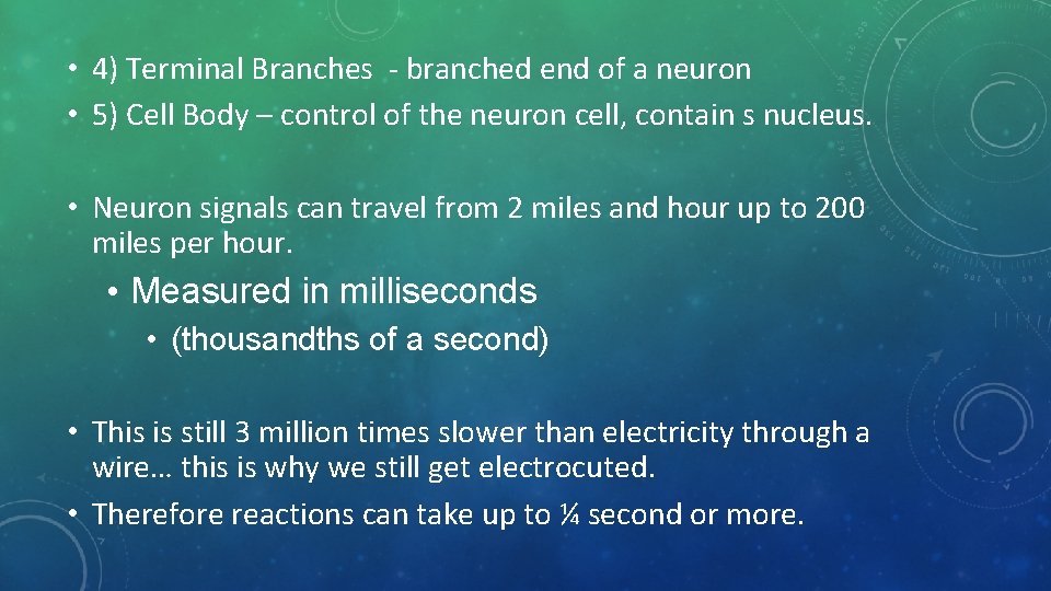 • 4) Terminal Branches - branched end of a neuron • 5) Cell