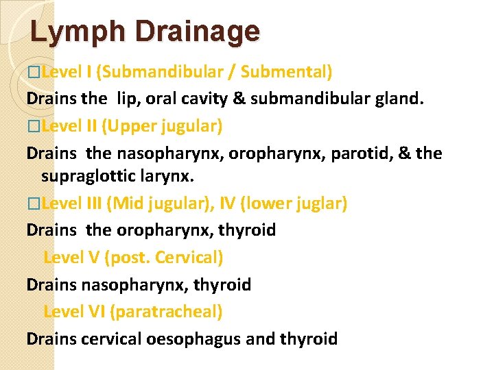 Lymph Drainage �Level I (Submandibular / Submental) Drains the lip, oral cavity & submandibular