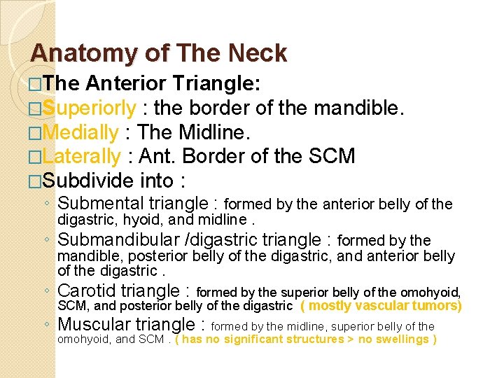 Anatomy of The Neck �The Anterior Triangle: �Superiorly : the border of the mandible.