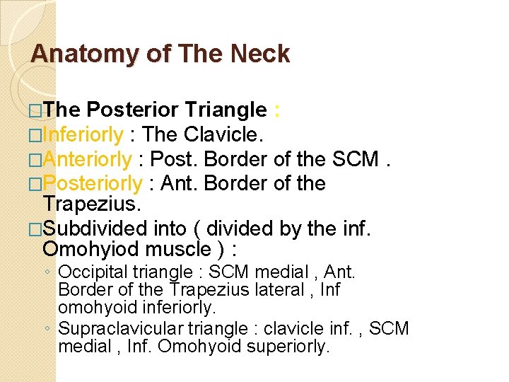Anatomy of The Neck �The Posterior Triangle : �Inferiorly : The Clavicle. �Anteriorly :
