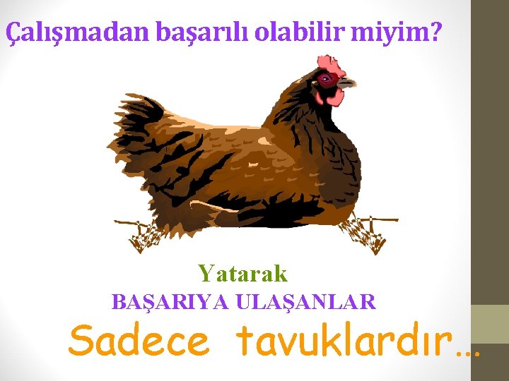 Çalışmadan başarılı olabilir miyim? Yatarak BAŞARIYA ULAŞANLAR Sadece tavuklardır… 