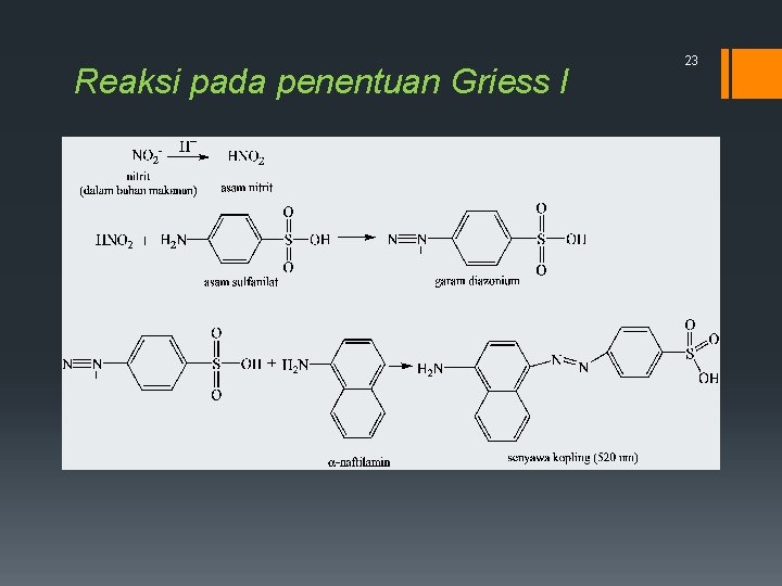 Reaksi pada penentuan Griess I 23 