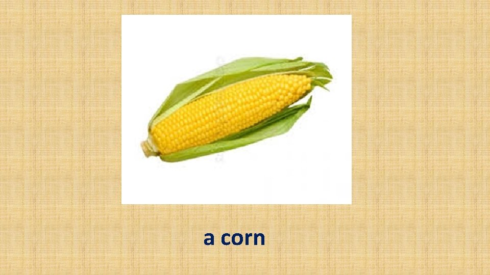 a corn 