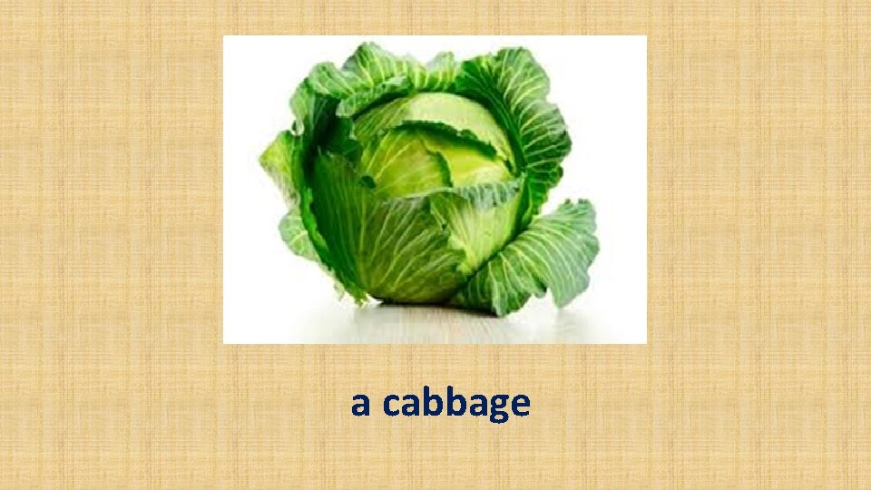 a cabbage 