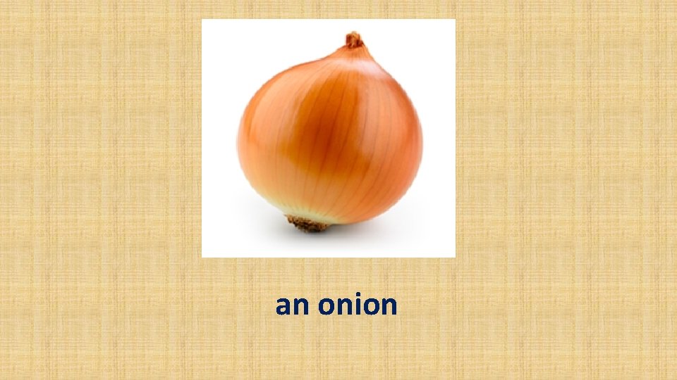 an onion 