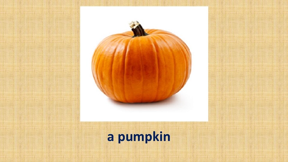 a pumpkin 