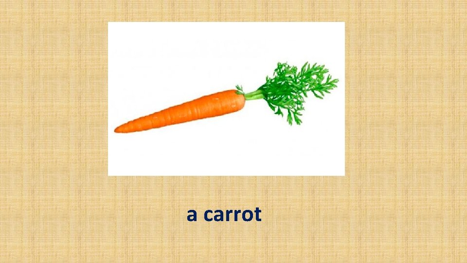 a carrot 