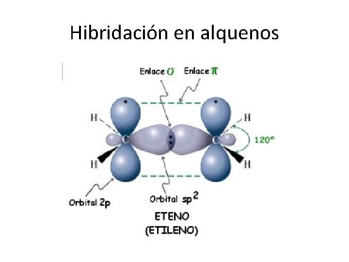 Hibridación en alquenos 