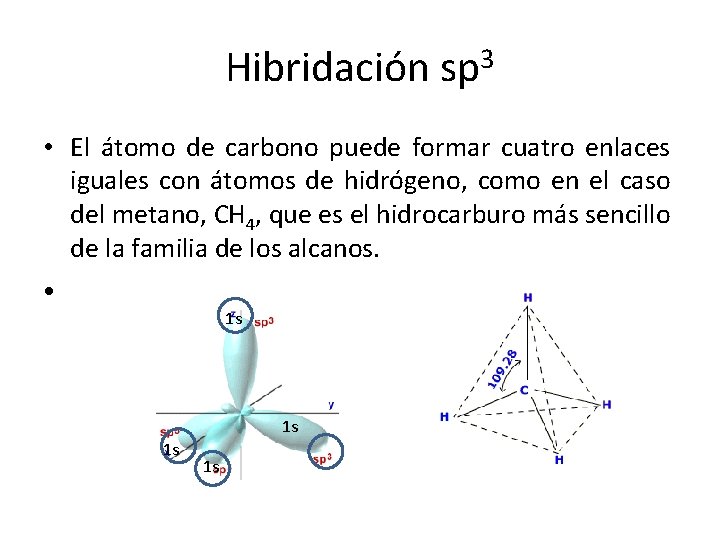 Hibridación sp 3 • El átomo de carbono puede formar cuatro enlaces iguales con