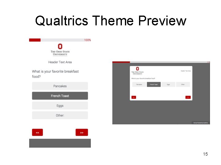 Qualtrics Theme Preview 15 