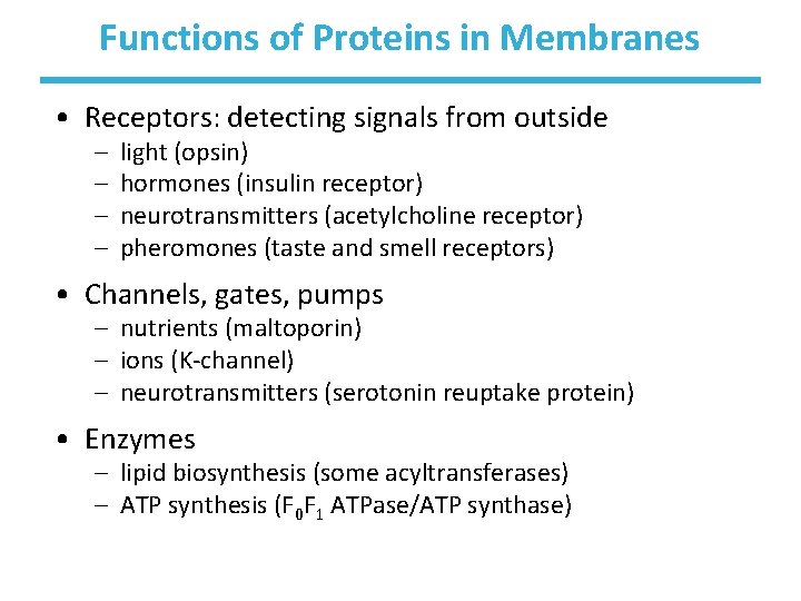 Functions of Proteins in Membranes • Receptors: detecting signals from outside – – light