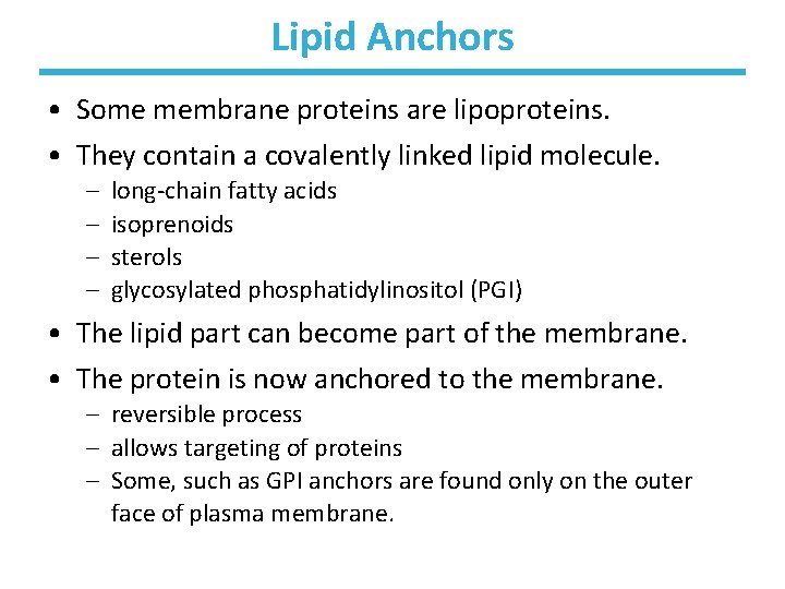 Lipid Anchors • Some membrane proteins are lipoproteins. • They contain a covalently linked
