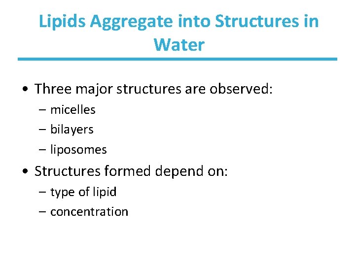 Lipids Aggregate into Structures in Water • Three major structures are observed: – micelles