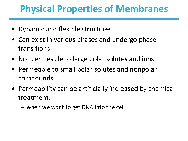 Physical Properties of Membranes • Dynamic and flexible structures • Can exist in various