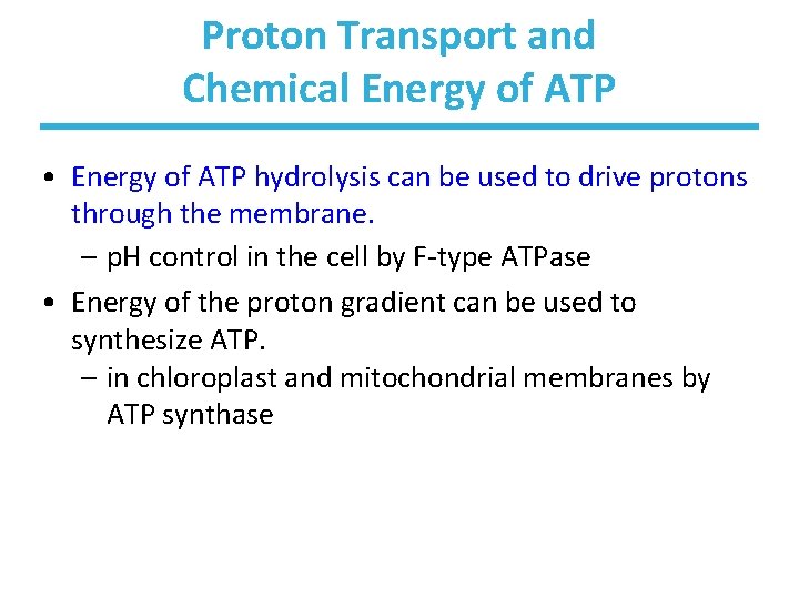 Proton Transport and Chemical Energy of ATP • Energy of ATP hydrolysis can be