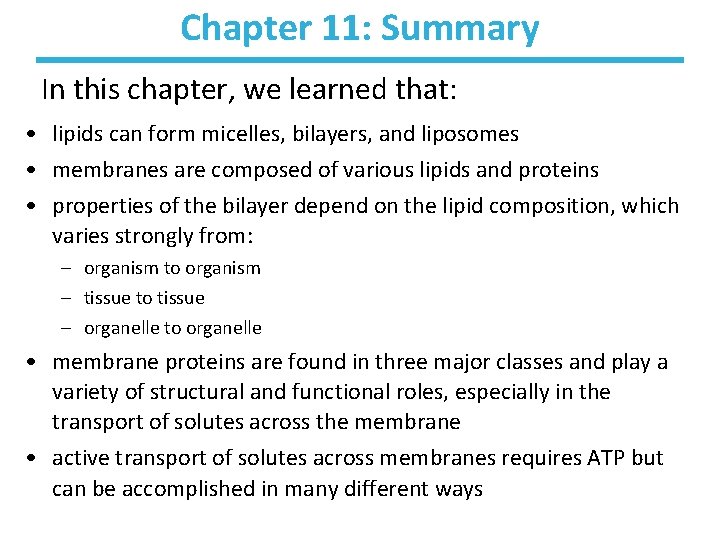 Chapter 11: Summary In this chapter, we learned that: • lipids can form micelles,