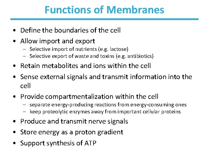 Functions of Membranes • Define the boundaries of the cell • Allow import and