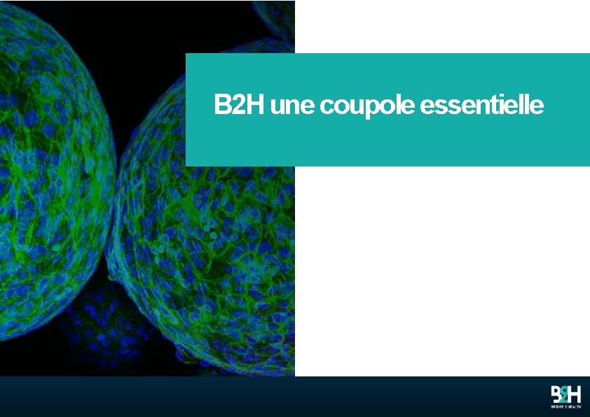 B 2 H une coupole essentielle 