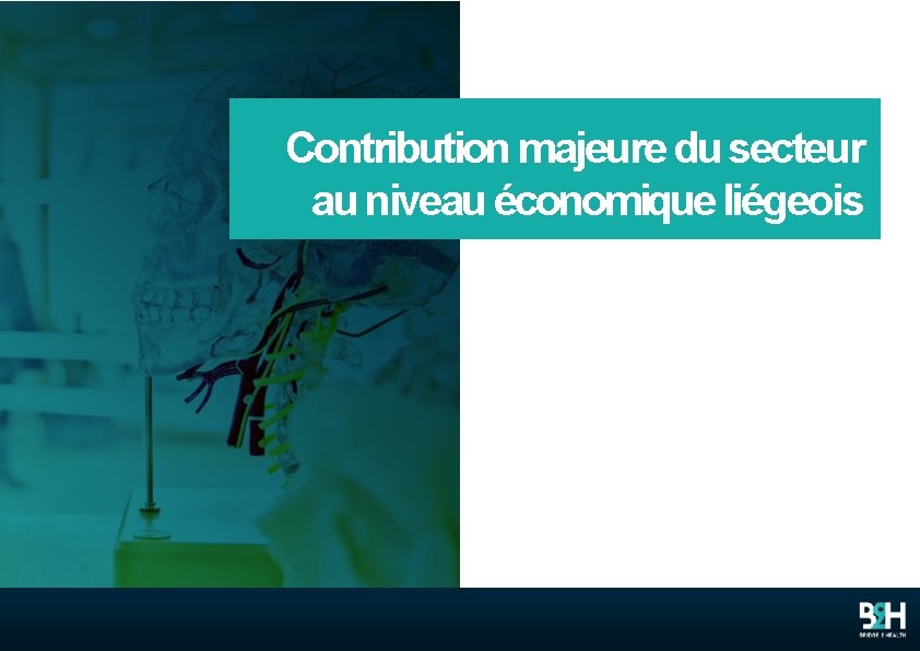 Contribution majeure du secteur au niveau économique liégeois 