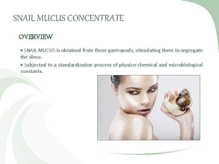 SNAIL MUCUS CONCENTRATE OVERVIEW SNAIL MUCUS is obtained from these gastropods, stimulating them to