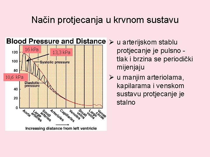 Način protjecanja u krvnom sustavu 16 k. Pa 10, 6 k. Pa 13, 3