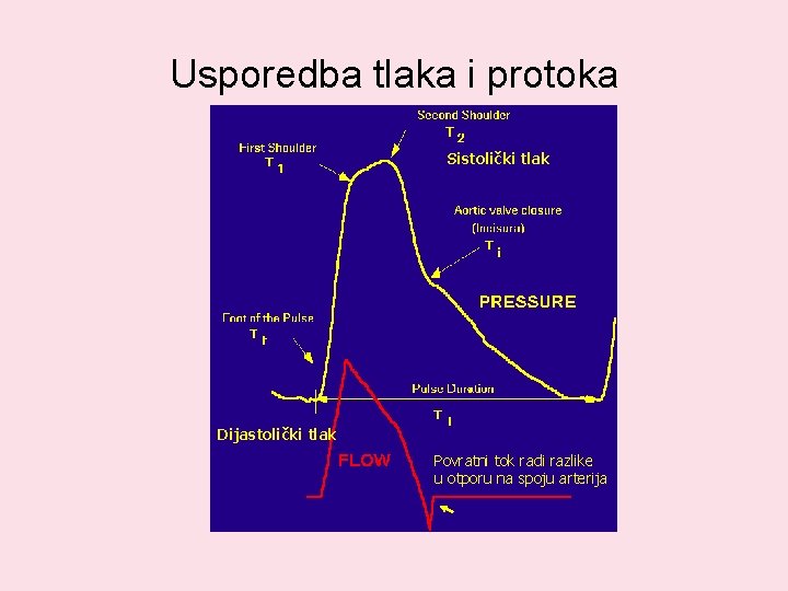 Usporedba tlaka i protoka Sistolički tlak Dijastolički tlak Povratni tok radi razlike u otporu